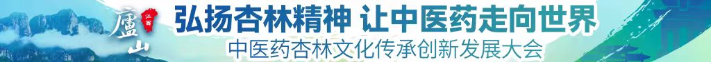 大黑掉吊操逼中医药杏林文化传承创新发展大会